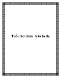 Tuổi thơ chăn trâu lá đa