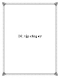 Bài tập căng cơ