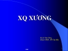 X quang xương