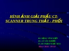 Bài giảng Hình ảnh giải phẩu CT - Scanner trung thất - phổi - BS. Đặng Vĩnh Hiệp, BS. Lê Văn Phước, TS.BS. Phạm Ngọc Hoa