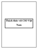 Thách thức với CIO Việt Nam