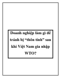 Doanh nghiệp làm gì để tránh bị “thôn tính” sau khi Việt Nam gia nhập WTO?