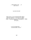 LUẬN VĂN TỐT NGHIỆP: "  ẢNH HƯỞNG CỦA CÁC LOẠI THỨCĂN KHÁC NHAU LÊN TĂNG TRƯỞNG VÀ TỈ LỆ SỐNG CỦA CÁ BỐNG TƯỢNG (Oxyeleotris marmoratus) TỪ GIAI ĐOẠN HƯƠNG LÊN GIỐNG"