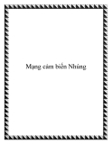 Tìm hiểu mạng cảm biến Nhúng