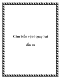 Cảm biến vị trí quay hai đầu ra