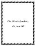 Cảm biến siêu âm nhúng cho radar ô tô