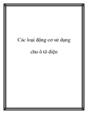 Các động cơ sử dụng cho ô tô điện