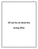 Dễ mù lòa do thoái hóa hoàng điểm