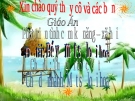 Thế giới thực vật