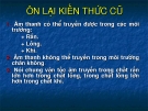 Phản xạ âm thanh tiếng vang