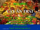 Cây ăn trái