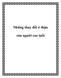 Những thay đổi ở thận của người cao tuổi