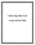 Cánh cổng thiền Torii trong văn hóa Nhật