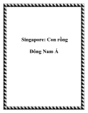 Singapore: Con rồng Đông Nam Á