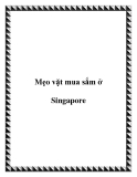 Mẹo vặt mua sắm ở Singapore