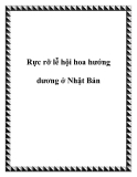 Rực rỡ lễ hội hoa hướng dương ở Nhật Bản