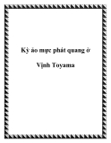 Kỳ ảo mực phát quang ở Vịnh Toyama