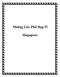 Những Góc Phố Đẹp Ở Singapore