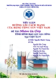 Đề tài: Tình Hình Bạo Lực Gia Đình ở Việt Nam