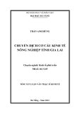 Luận văn:CHUYỂN DỊCH CƠ CẤU KINH TẾ NÔNG NGHIỆP TỈNH GIA LAI