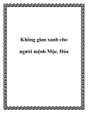 Không gian xanh cho người mệnh Mộc, Hỏa