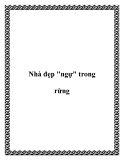 Nhà đẹp "ngự" trong rừng