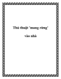 Thủ thuật 'mang rừng' vào nhà
