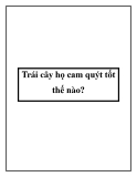 Trái cây họ cam quýt tốt thế nào?