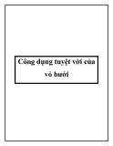 Công dụng tuyệt vời của vỏ bưởi