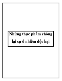 Những thực phẩm chống lại sự ô nhiễm độc hại