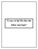 Vì sao cá lại tốt cho sức khỏe của bạn?