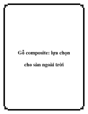 Gỗ composite: lựa chọn cho sàn ngoài trời