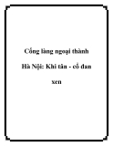 Cổng làng ngoại thành Hà Nội: Khi tân - cổ đan xen