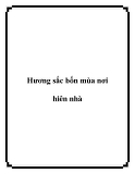 Hương sắc bốn mùa nơi hiên nhà