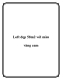 Loft đẹp 58m2 với màu vàng cam