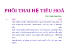 Phôi thai hệ tiêu hóa