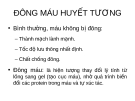 Đông máu huyết tương