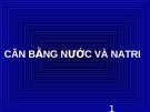 CÂN BẰNG NƯỚC VÀ NATRI