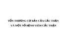 TỔN THƯƠNG CƠ BẢN CỦA CẦU THẬN VÀ MỘT SỐ BỆNH VIÊM CẦU THẬN