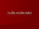 Tuần hoàn não