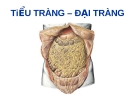 TiỂU TRÀNG – ĐẠI TRÀNG