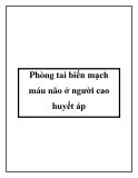 Phòng tai biến mạch máu não ở người cao huyết áp