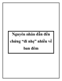 Nguyên nhân dẫn đến chứng “đi nhẹ” nhiều về ban đêm