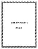 Tìm hiểu văn hoá Brunei