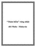 “Thám hiểm” rừng nhiệt đới Mulu - Malaysia