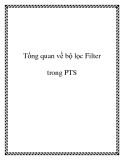 Tổng quan về bộ lọc Filter trong PTS