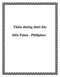 Thiên đường dưới đáy biển Palau - Philipines