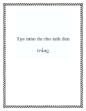 Tạo màu da cho ảnh đen trắng