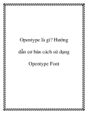 Opentype là gì? Hướng dẫn cơ bản cách sử dụng Opentype Font