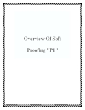 Overview Of Soft Proofing "P1"